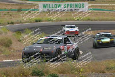 media/May-04-2024-Lucky Dog Racing (Sat) [[d39539b3f3]]/Race Pics/1230pm (Turn 4a)/